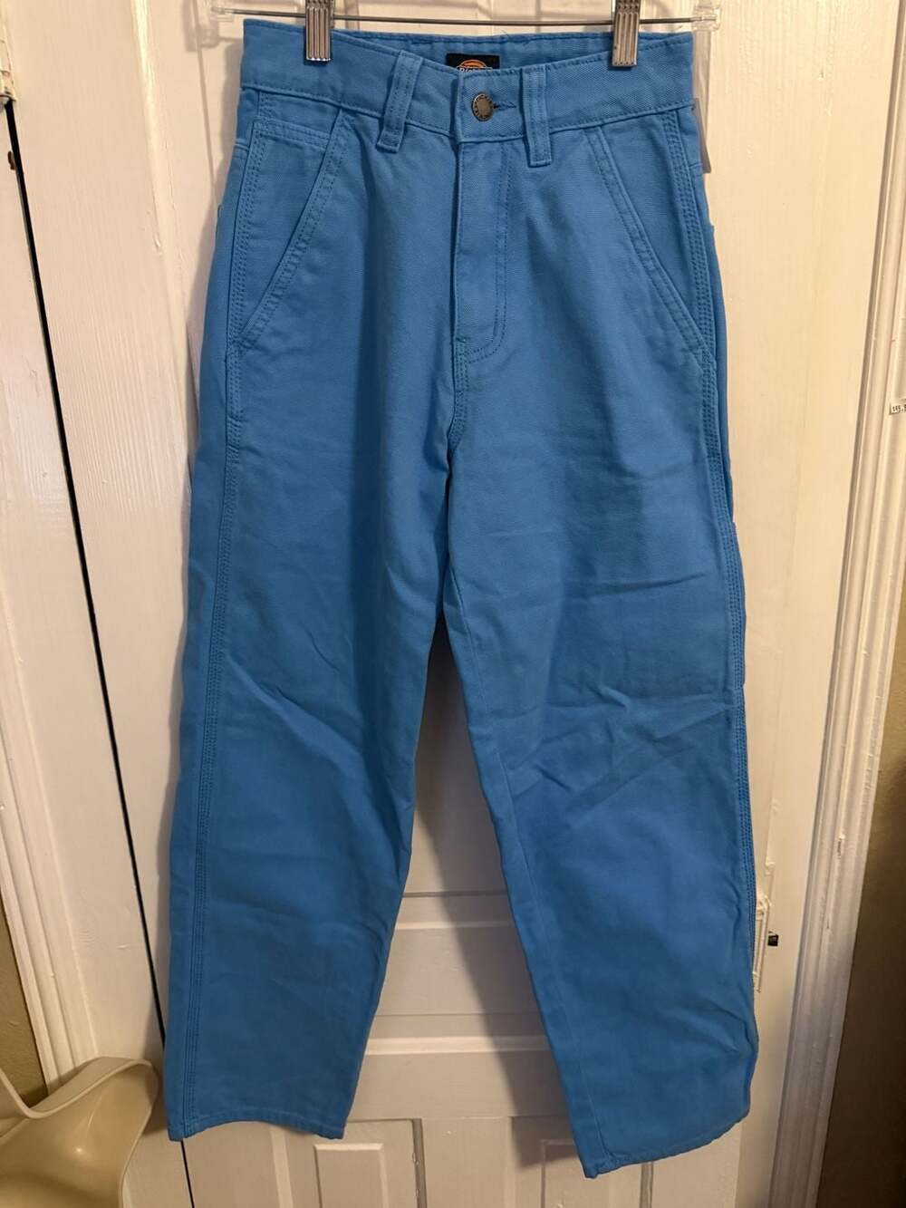 Dickies x Urban Outfitters Blue Utility Canvas Pants Size 0R 0 Regular